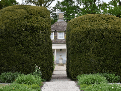 Charming house with garden